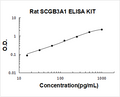 Rat SCGB3A1 PicoKine ELISA Kit Standard Curve