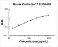 Mouse Cadherin-17 PicoKine ELISA Kit Standard Curve