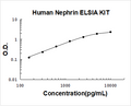 Human Nephrin PicoKine ELISA Kit Standard Curve