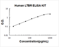 Human LTBR PicoKine ELISA Kit Standard Curve