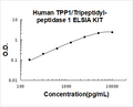 Human TPP1 PicoKine ELISA Kit Standard Curve