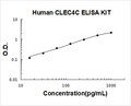 Human CLEC4C PicoKine ELISA Kit Standard Curve
