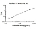 Human Elastase/ELANE/ELA2 PicoKine ELISA Kit Standard Curve