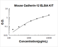 Mouse Cadherin-12 PicoKine ELISA Kit Standard Curve