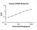 Human ARSA PicoKine ELISA Kit Standard Curve