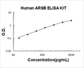 Human ARSB PicoKine ELISA Kit Standard Curve
