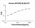 Human ANTXR2 PicoKine ELISA Kit