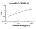 Human PRELP PicoKine ELISA Kit