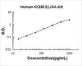 Human CD38 PicoKine ELISA Kit standard curve