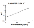 Rat BMPER PicoKine ELISA Kit Standard Curve