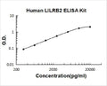 Human LILRB2 PicoKine ELISA Kit Standard Curve