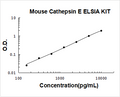 Mouse Cathepsin E PicoKine ELISA Kit standard curve