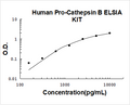 Human Pro-Cathepsin B PicoKine ELISA Kit standard curve