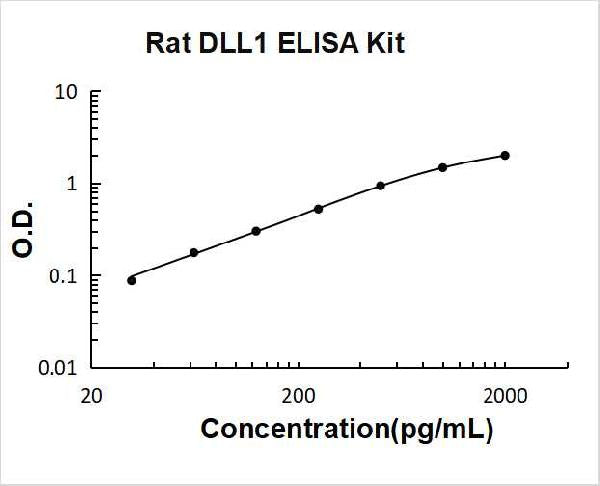 Rat DLL1 PicoKine ELISA Kit standard curve