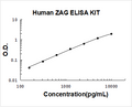 Human ZAG/AZGP1 PicoKine ELISA Kit standard curve
