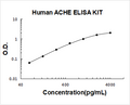 Human ACHE PicoKine ELISA Kit Standard Curve