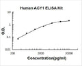 Human ACY1 PicoKine ELISA Kit Standard Curve