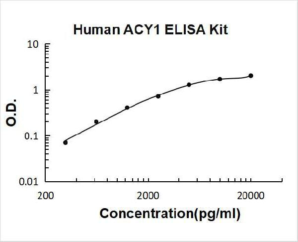 Human ACY1 PicoKine ELISA Kit Standard Curve