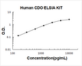Human CDO PicoKine ELISA Kit standard curve