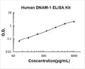Human DNAM-1/CD226 PicoKine ELISA Kit standard curve