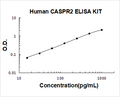 Human CASPR2 PicoKine ELISA Kit standard curve