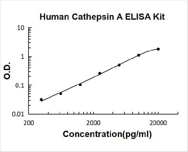 Human Cathepsin A PicoKine ELISA Kit standard curve