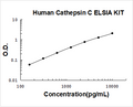 Human Cathepsin C PicoKine ELISA Kit standard curve