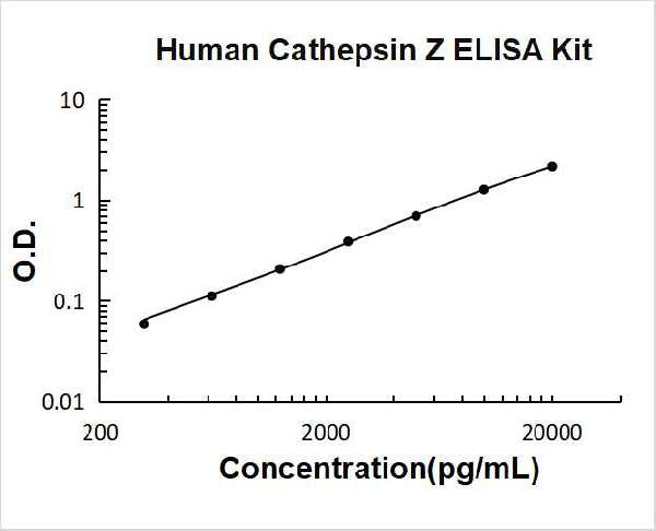 Human Cathepsin Z PicoKine ELISA Kit standard curve