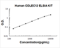 Human COLEC12 PicoKine ELISA Kit standard curve