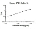 Human CPB1 PicoKine ELISA Kit standard curve