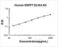 Human ENPP7 PicoKine ELISA Kit standard curve