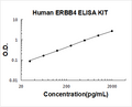 Human ERBB4 PicoKine ELISA Kit standard curve