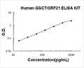 Human GGCT PicoKine ELISA Kit standard curve