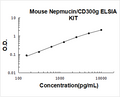 Mouse Nepmucin PicoKine ELISA Kit standard curve