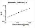 Human GLO1 PicoKine ELISA Kit standard curve