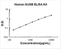 Human GUSB PicoKine ELISA Kit standard curve