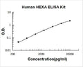 Human HEXA PicoKine ELISA Kit standard curve