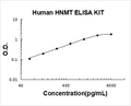 Human HNMT PicoKine ELISA Kit standard curve