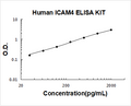 Human ICAM4 PicoKine ELISA Kit standard curve