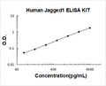 Human Jagged1 PicoKine ELISA Kit standard curve