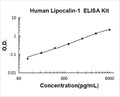 Human Lipocalin PicoKine ELISA Kit standard curve