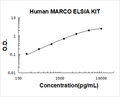Human MARCO PicoKine ELISA Kit standard curve