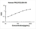 Human PKLR PicoKine ELISA Kit standard curve