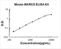 Mouse MARCO PicoKine ELISA Kit standard curve