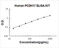 Human PCDH17 PicoKine ELISA Kit standard curve