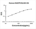 Human NUDT5 PicoKine ELISA Kit standard curve