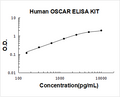 Human OSCAR PicoKine ELISA Kit standard curve
