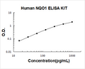 Human NQO1 PicoKine ELISA Kit standard curve