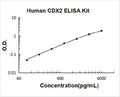 Human CDX2 PicoKine ELISA Kit standard curve