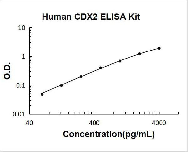 Human CDX2 PicoKine ELISA Kit standard curve